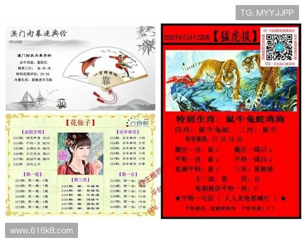 全面解析澳门新彩资料官方网站下载的优势与使用指南